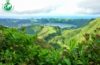 Restaurantes veganos en la Isla de Sao Miguel en Azores